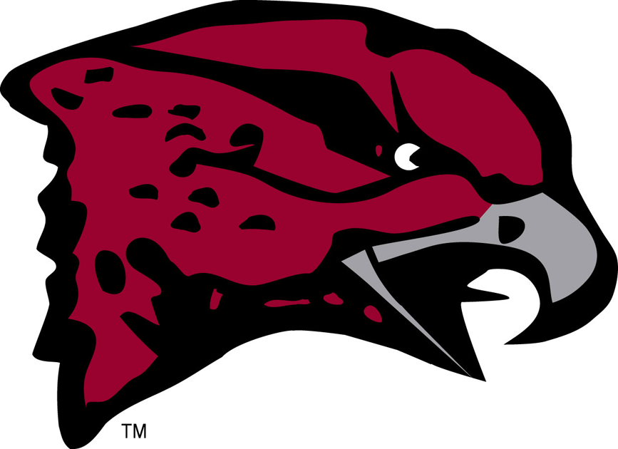 Maryland-Eastern Shore Hawks 2007-Pres Primary Logo diy fabric transfer